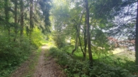 Baugrundstück am Waldrand von Weer - Bild