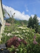 4-Zimmer-Maisonette-Wohnung in Alt-Hötting - Bild
