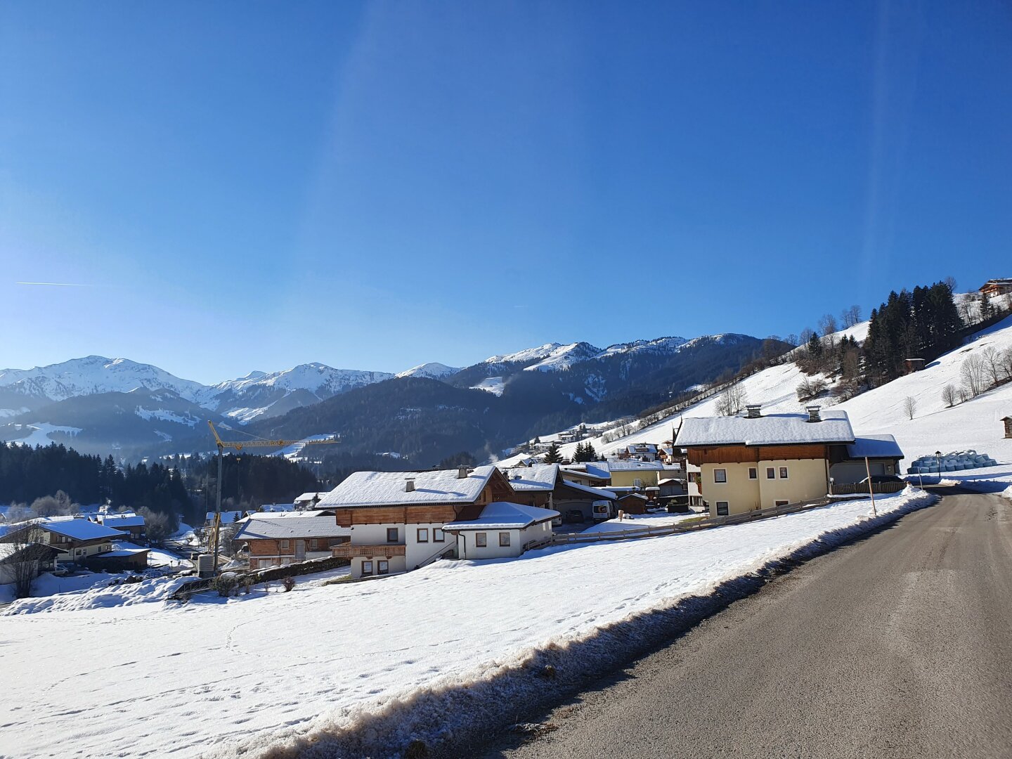 Bild