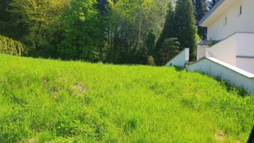 Baugrundstück am Waldrand von Weer, 6116 Weer, Baugrund Eigenheim